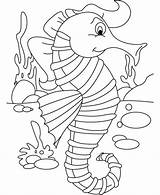 Seahorse Laut Kuda Mewarnai Kartun Anak Warnai Binatang Kidsplaycolor sketch template