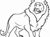 Lion Coloring Pages Lioness Adult King Getdrawings Simba Printable African Clipartmag Drawing sketch template