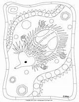 Coloring Echidna Pages Ray Aboriginal Mac Australian Xray Dot Template Colouring Indigenous Printable Painting Getdrawings Snake Kids Getcolorings 39s Popular sketch template