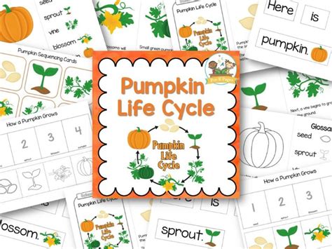 pumpkin life cycle pre  pages