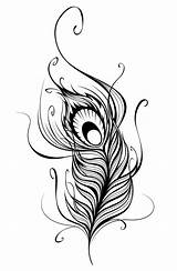 Feather Tribal Drawing Tattoo Getdrawings Peacock sketch template