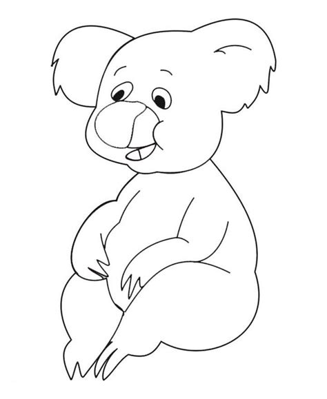 printable koala coloring pages  kids bear coloring pages