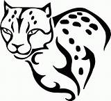Cheetah Leopard Cheetahs Coloringhome sketch template