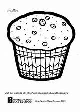 Muffin Coloring Muffins Pages Edupics Colouring Printable Large Popular sketch template
