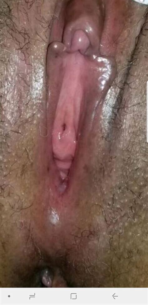 phat pussy shesfreaky