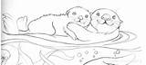 Otter Loutre Nutria Coloriage Otters Coloriages Animaux Colorier sketch template