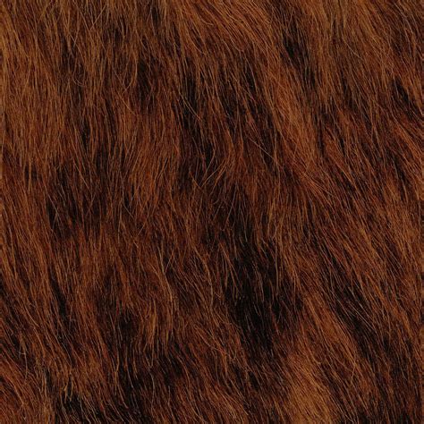 coarse brown fur    pixel image    gener flickr