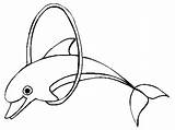 Dolphin Bottlenose Printable Coloring Pages Colouring Drawing Clipart Library sketch template