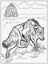 Wolves Wolfs Everfreecoloring Zentangle Roxanne Getdrawings sketch template