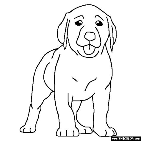 labrador puppy coloring page puppy coloring pages house colouring