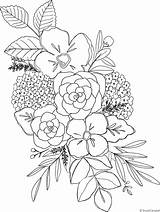 Hydrangea Shayda Patreon Sharpie sketch template