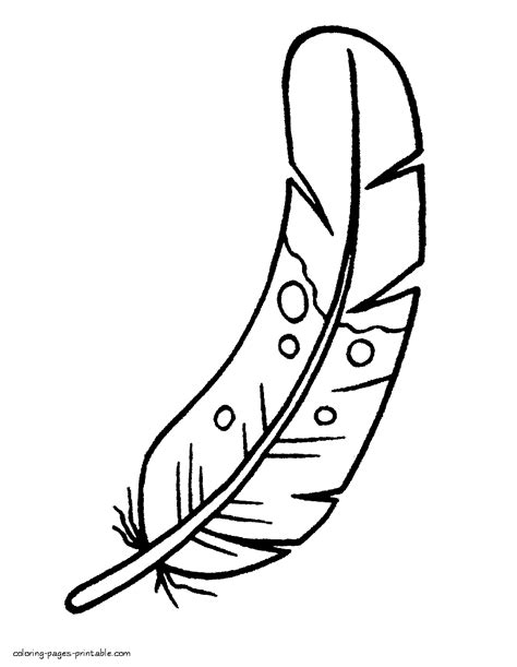 feather   bird kindergarten coloring sheet coloring pages