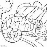 Coloring Pages Chameleon Camouflage Python Ball Reptiles Print Kids Mixed Sheets Chameleons Reptile Clip Animal Leo Lionni Getcolorings Color Clipart sketch template