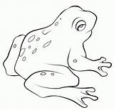 Frog Coloring4free sketch template
