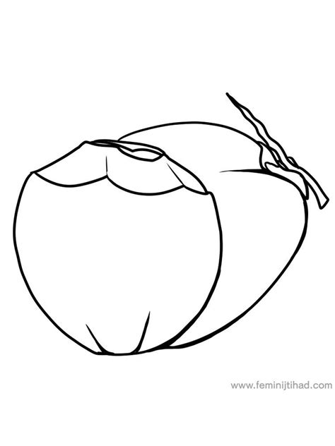 coconut coloring page  vegetable coloring pages fruit coloring