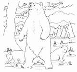 Park Yellowstone Urs Colorat Grizzly Planse Designlooter 4to40 Desene sketch template