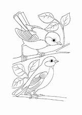 Coloring Bird Pages Adult Para Colouring Simple Colorear Kids Embroidery Sheets Visit Printable Imprimir Adults Pattern Print sketch template