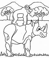 Coloring Pages Wild Animals Safari Animal Rhino African Monkey Comments Popular Coloringhome Rhinoceros Kids sketch template