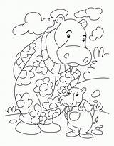 Hippo Nilpferd Coloringhome Insertion Erste sketch template