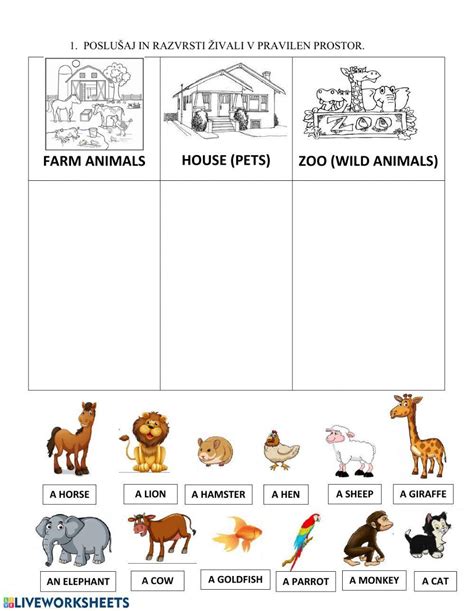 animals pet farm zoo worksheet  worksheets