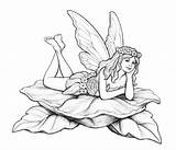 Fairy Coloring Pages Mythical Adults Creature Myths Legends Leaves Drawing Printable Beautiful Flowers Elongated Getdrawings Justcolor sketch template