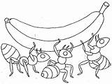 Hormigas Hormiga Disfrute Pretende Motivo Compartan Niños sketch template