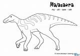 Maiasaura Dinosaur sketch template