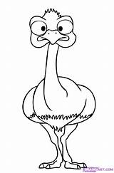 Draw Ostrich Animals Cartoon Easy Coloring Drawing Drawings Baby Step Emu Animal Clipart Face Cute Simple Ostriches Head Line Clip sketch template