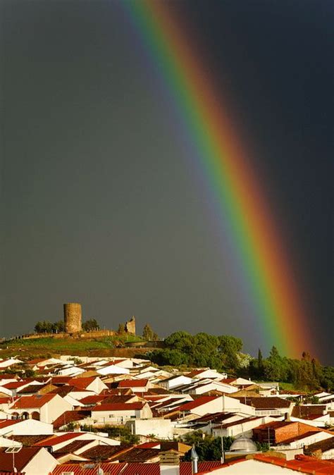 pin  rainbows