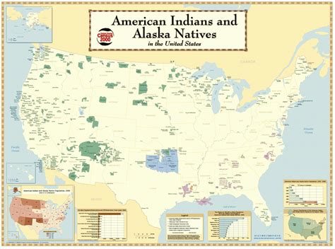 the forced assimilation of native americans writework