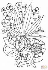 Coloring Weed Pages Trippy Marijuana Leaf Adults Printable Psychedelic Adult Book Cannabis Drawing Sheets Hemp Space Drawings Color Tattoo Print sketch template