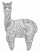 Llama Coloring Pages Printable Antistress Wonder sketch template