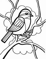 Sparrow Burung Mewarnai sketch template