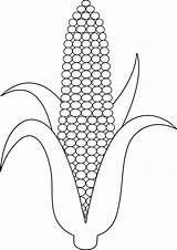 Corn Ear Clip Line Color Colorable Outline Coloring Template Print Pages Lineart Sheet Sweetclipart sketch template
