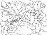 Coloring Pages Water Monet Lilies Flower Lily Waterlilies Printable Scenery Watercolor Drawing Book August Flowers Adults Adult Claude Mountain Line sketch template
