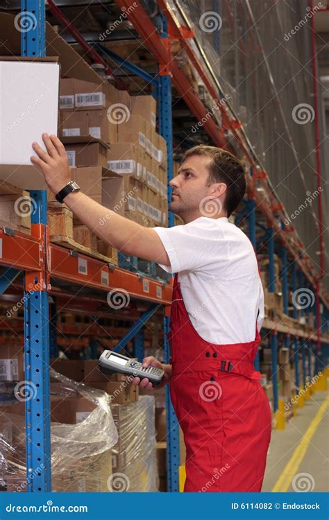 worker maintaining stocks stock photo image  products