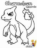 Charmander Charmeleon Glumanda Bulbasaur Ausmalbild Coloringhome Piplup Nidorina Pokémon sketch template