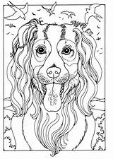 Collie Colorare Herdershond Malvorlage Edupics Ausmalbilder Horse Dog Schulbilder Große Grote sketch template