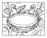 Nest Bird Coloring Empty Template Chicken Coop Sketch Pages 2010 sketch template