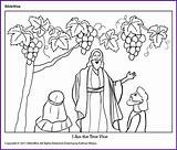 Vine True Kids Coloring Am Jesus Activities School Bible Choose Board Craft sketch template