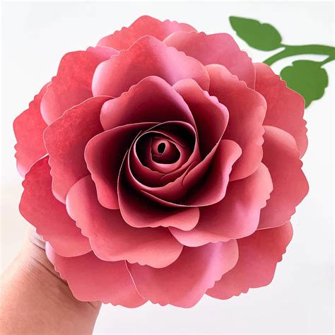 paper rose template  web    wanting  learned