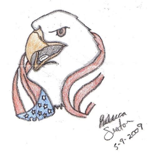 american eagle drawing  rebecca seaton fine art america
