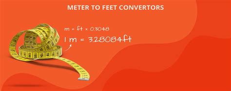 Meters To Feet Converter Convert Meter To Feet Online Orchids