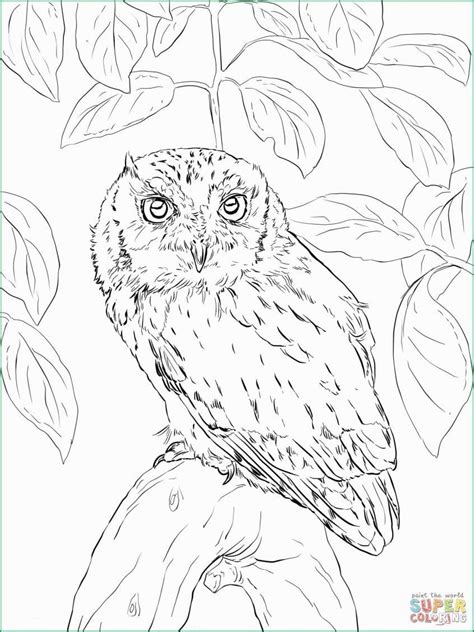 cute owl coloring pages color info