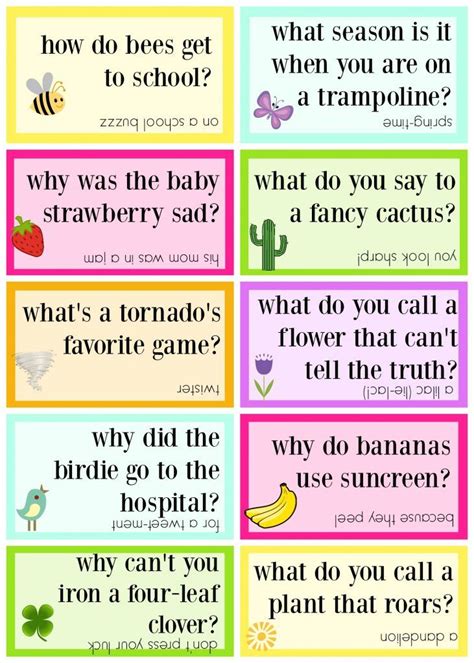 springtime jokes funny jokes  kids jokes  riddles lunchbox jokes