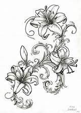Lilies Lilly Lillies Stargazer Tatouage Lilis Coloriage Lilien Meaning Filagree Lilys épinglé Emeline Gladiolus Ranken Hibiscus Tatoo Vorlage Peonies Wiccan sketch template