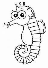 Seahorse Coloring Pages Printable Color Print sketch template