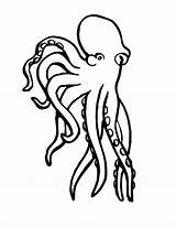 Squid Coloring Pages Marine Animals Animal Sea Octopi sketch template