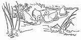 Pond Duck Drawing Getdrawings Coloring sketch template