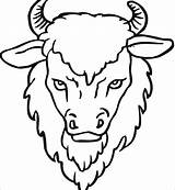 Buffalo Coloring Head Drawing Pages Bison Clipart Outline Yak Face Printable Drawings Kids Color Animals Template Horns African Realistic Clipartmag sketch template